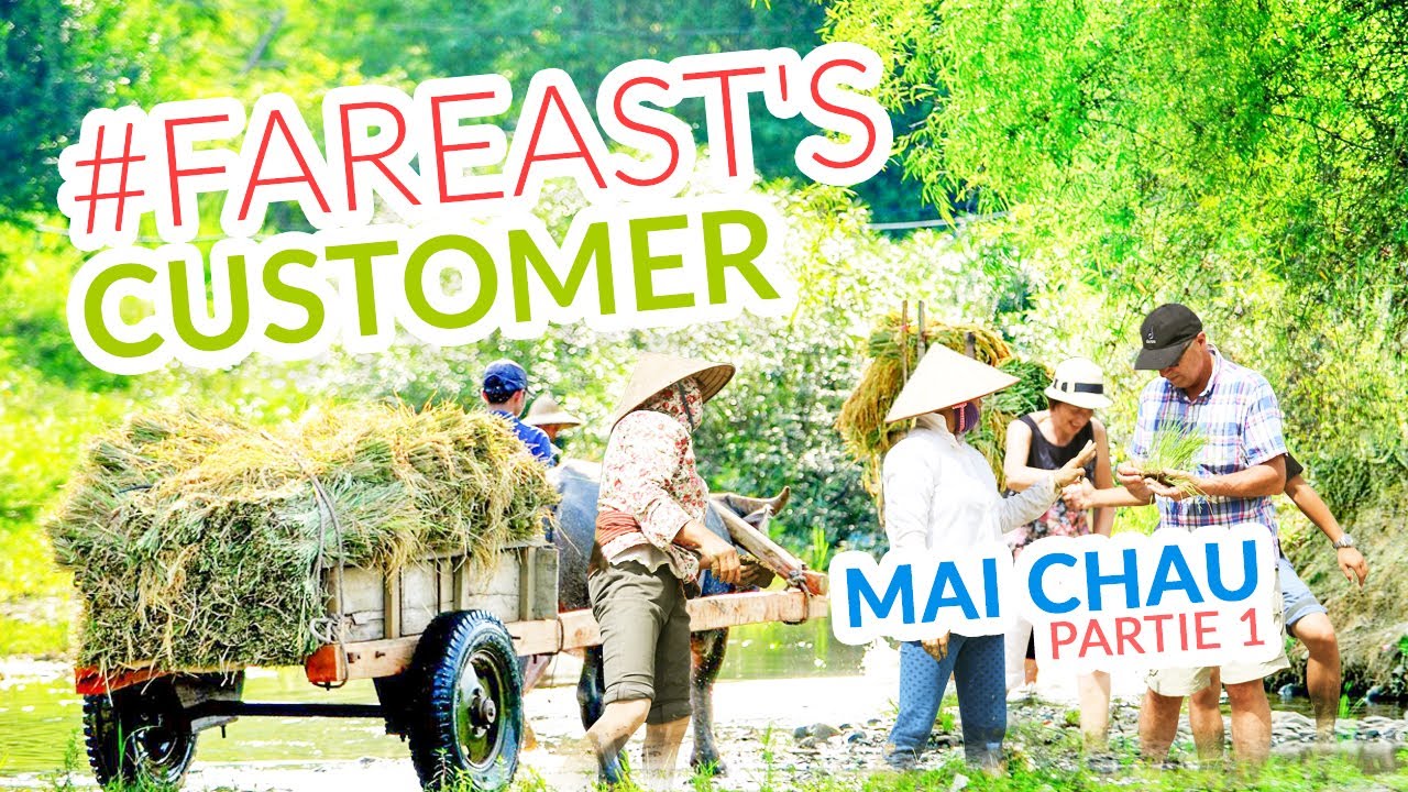 RÉPONSE DES CLIENTS À MAI CHAU - PARTIE 1  | FAR EAST TOUR