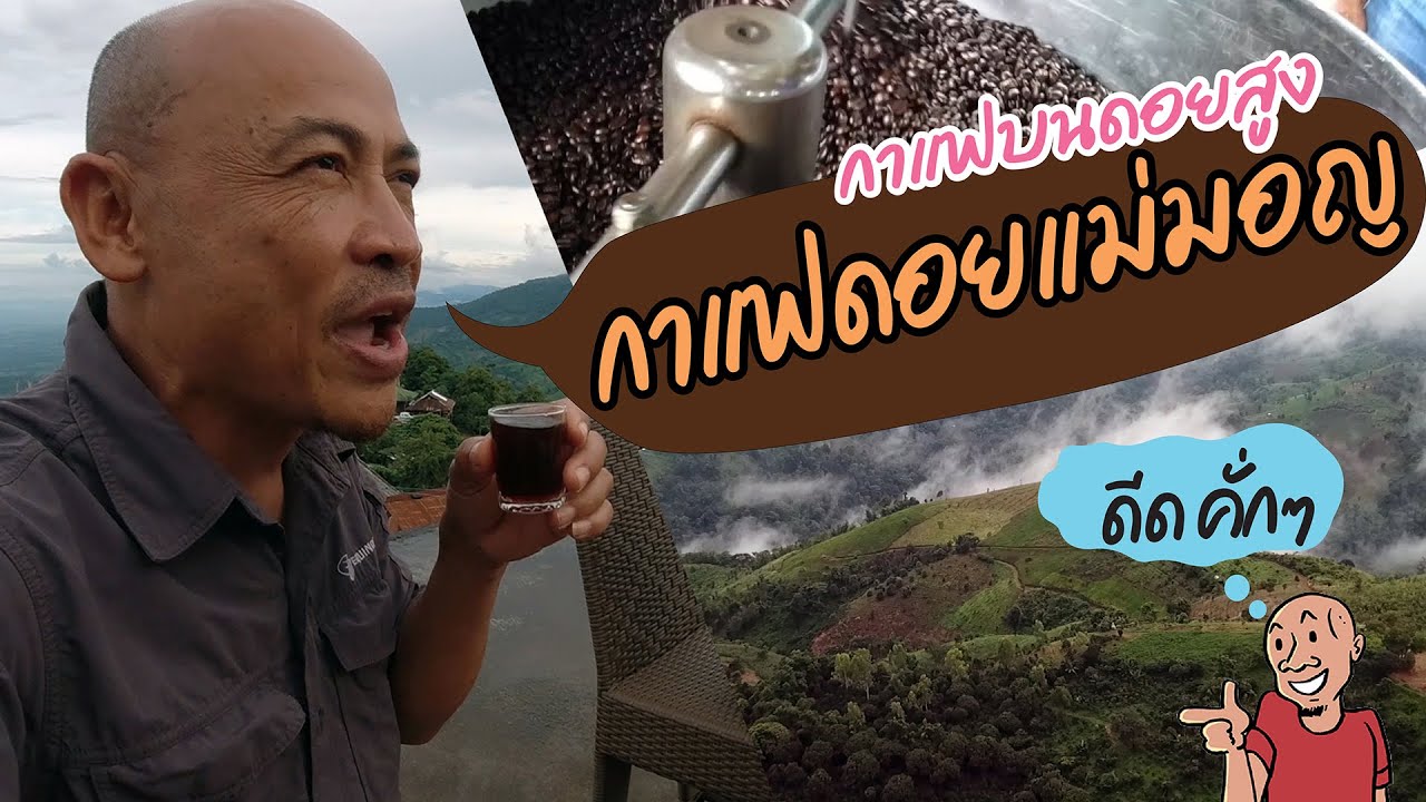 กาแฟดอยแม่มอญ
