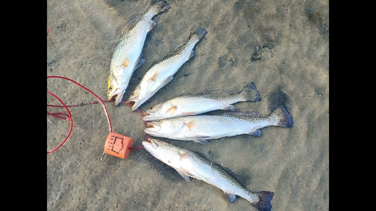 3-11-2020 SPI Fishing