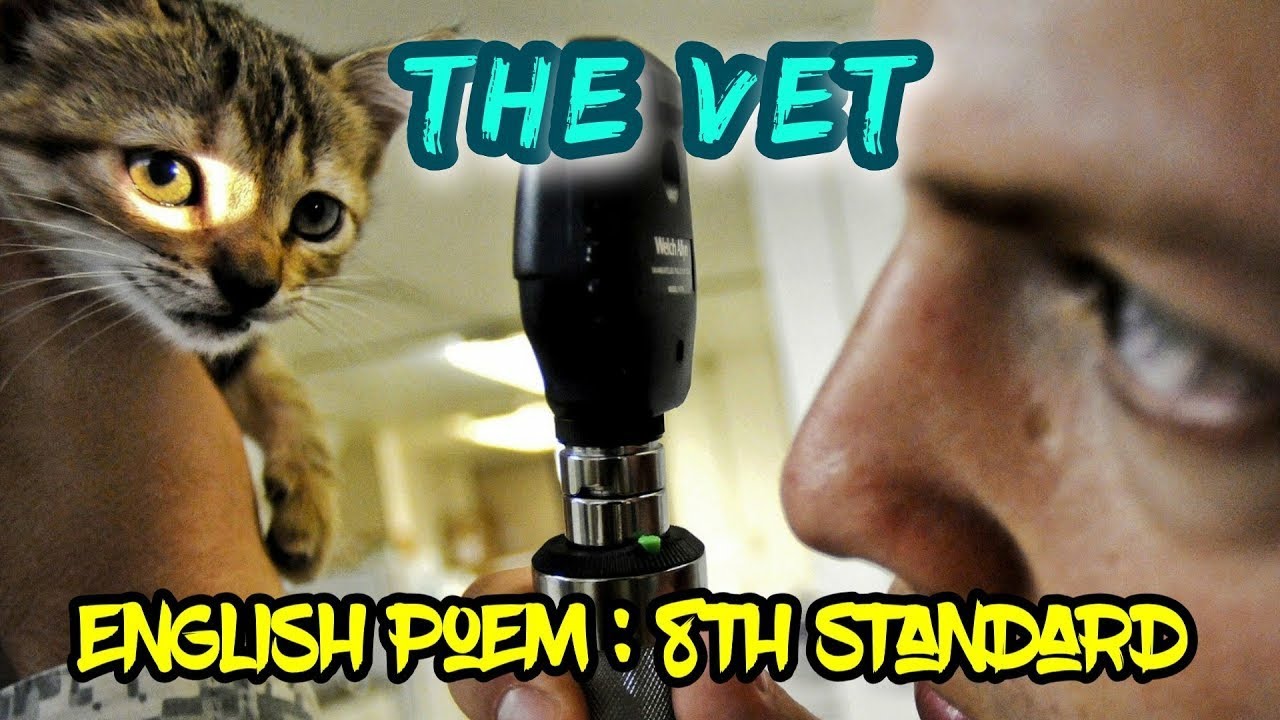 The Vet Poem 8th Standard LearnwithSunil YouTube