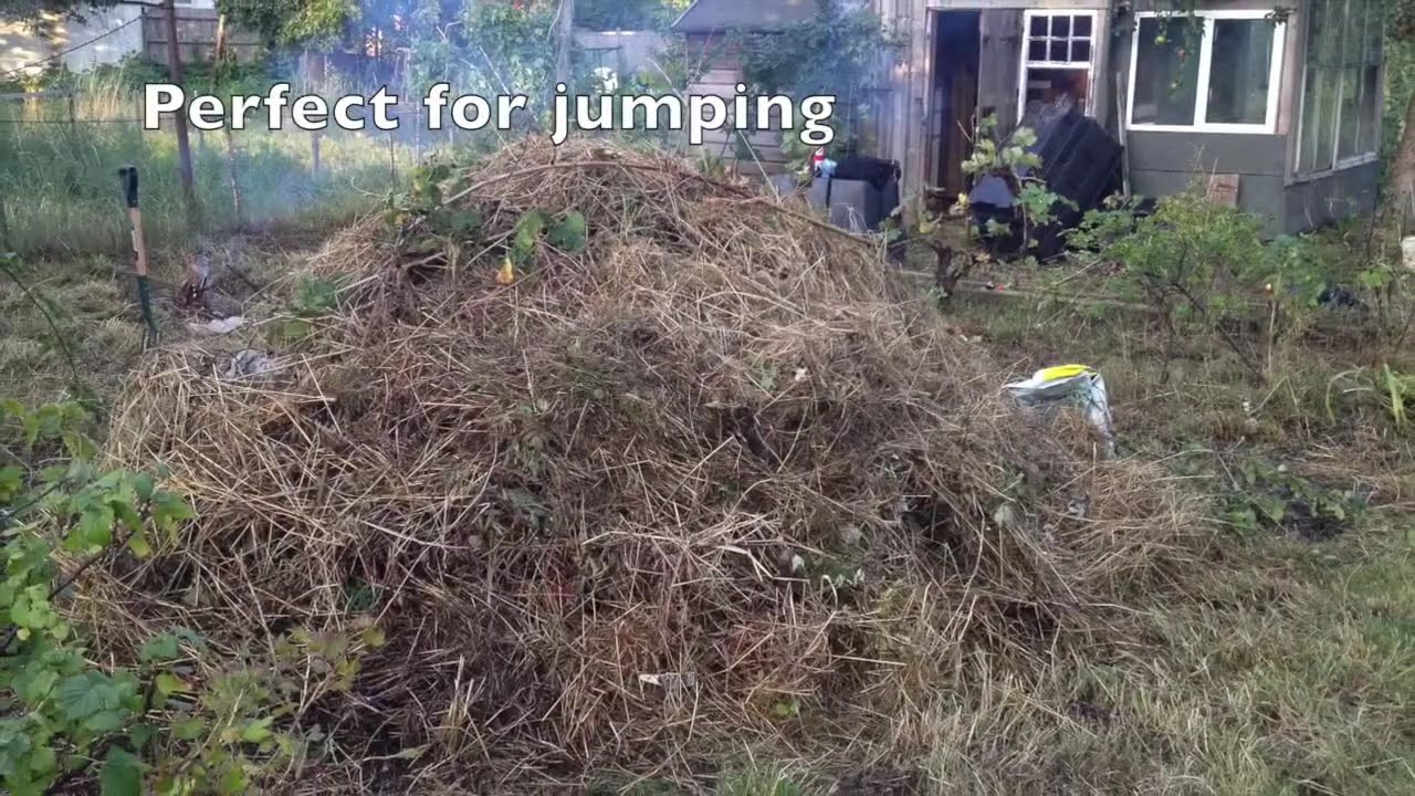 Start of a new allotment