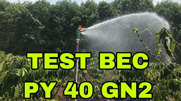 Test béc tưới cà phê 2 (PY 40 GN2)[ chư pao channel ]