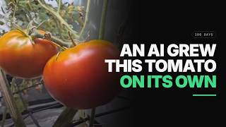 we aren't going hard enough on ai enabled agriculture