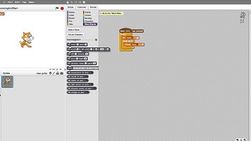 Hummingbird and Scratch 2.0: Creating a Program