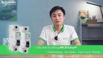 Ngon bổ rẻ là có thật với cầu dao tự động MCB Easy9 thương hiệu Schneider