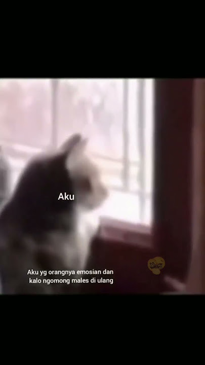 #aku #bestie #semesta #emosi #males #lemot #budek #tuli #adil #cewe #cowo #temen #meme #shorts