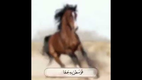 سورة العاديات - ماهر المعيقلي