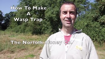 Beekeeping Basics - How to make a Wasp Trap - The Norfolk Honey Co.