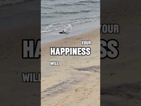 Happiness motivational message  #motivation #lifeadvise #inspireyourlife #Happiness