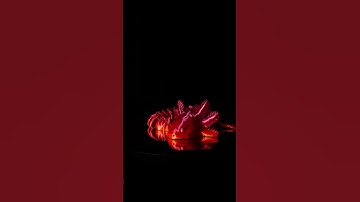 3D Printed Axolotl! #shorts #3dprinting #spinning3d