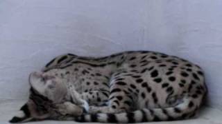CIMG5680.AVI