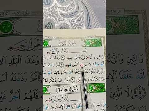 قران كريم سورة التين علاء عقل قرآن اكسبلور