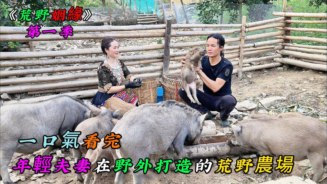 一口氣看完，年輕夫妻在野外打造的荒野農場《荒野姻緣》第一季