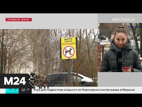 Вопрос: Позволит ли список опасных собак, выгуливать остальных без намордников?