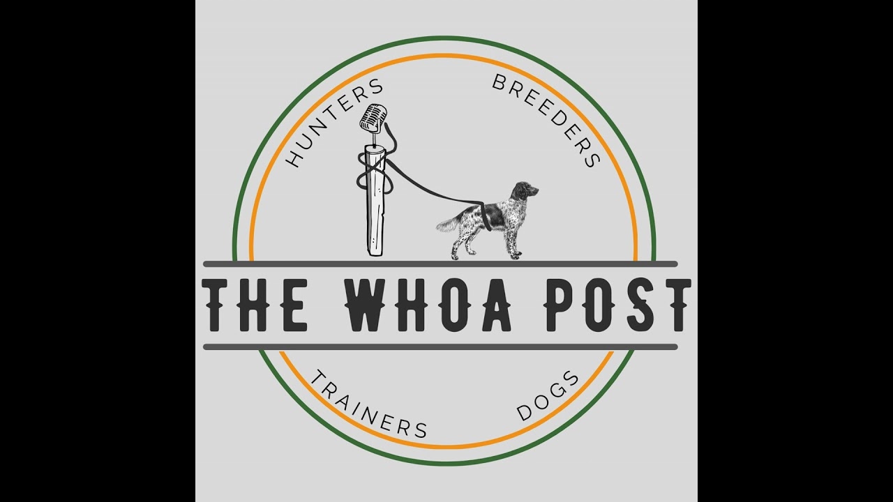 9: Pt 1 Gordon Setters with Debbie Petersen and Stephen Faust