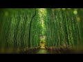Bawu Chinese Flute Relaxing Meditation Sleep Stress Relief Study Spa Music