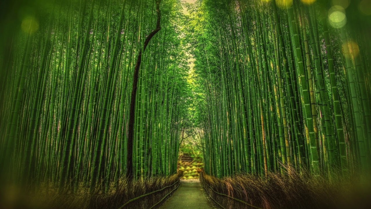 Bawu Chinese Flute - Relaxing Meditation Sleep Stress Relief Study Spa Music