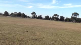 Multiplex Fun Jet crashes
