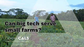 Faculty Research Spotlight: Can big tech serve small farms