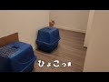 1週間ぶりの再開でお迎えに来てくれるのは誰？