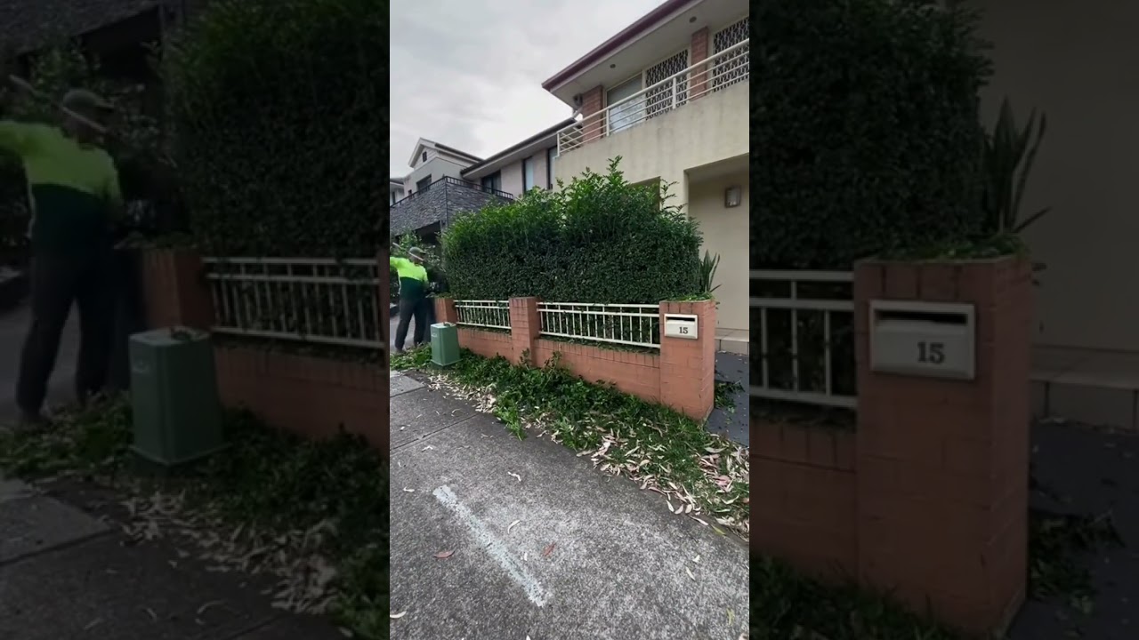 Give your garden the care it deserves! Our hedge trimming experts will bring precision and style to Give your garden the care it deserves! Our hedge trimming experts will bring precision and style to
