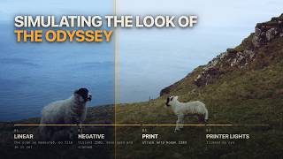 The Odyssey's Look Was Never a Secret — Kodak Published the Whole Recipe
