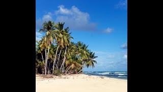 [FREE] Reggae Type Beat 