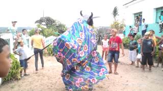 PARTICIPAÇÃO DO BOI DE NAIR NO CARNAVAL 2014 DA ESCOLA MANOEL