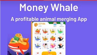 MONEY WHALE NEW EARNING APP REVIEW 2020/ENJOY PLAYING THIS APP WHILE YOU EARN PAYPAL MONEY screenshot 5