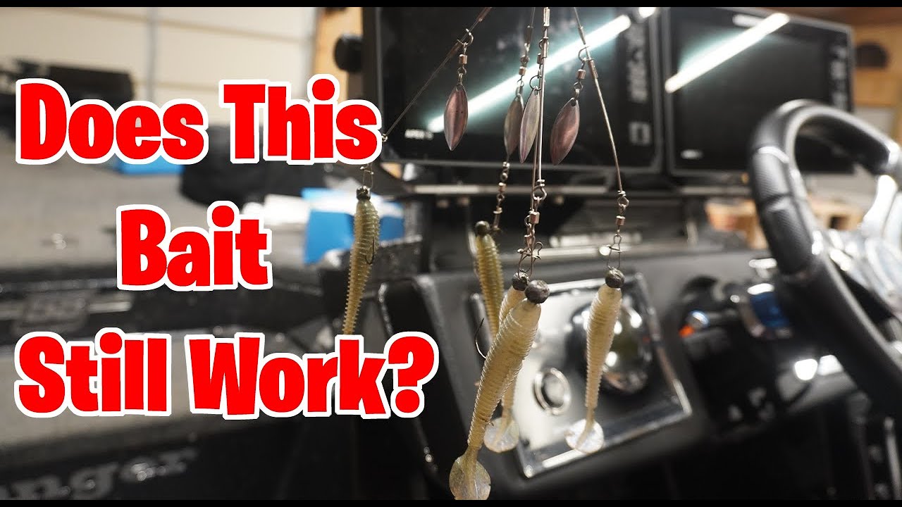 BIG Bass Still Fall For This Bait!?