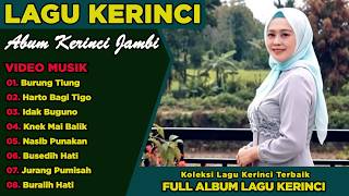 Tiung Bird Full New Album 2026 Kerinci Jambi Songs