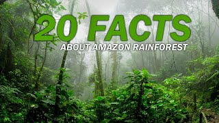 20 Jaw-Dropping Facts About the Amazon Forest That Will Leave You Completely Astounded!