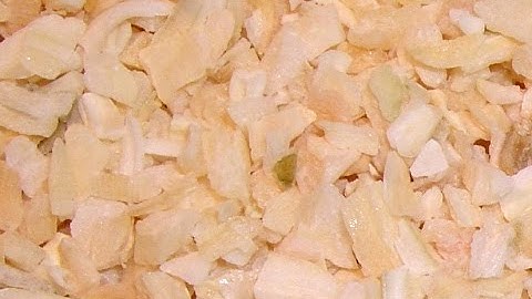 Dehydrated Onions Sorting by Spray | RAYTEC VISION SpA