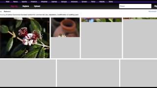 Using Flickr CC Attribution Helper