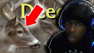 {YTP} ~ Deeer Reaction