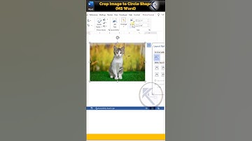 how to crop image  to circle shape in ms word  in hindi   #mswordinhindi #shorts