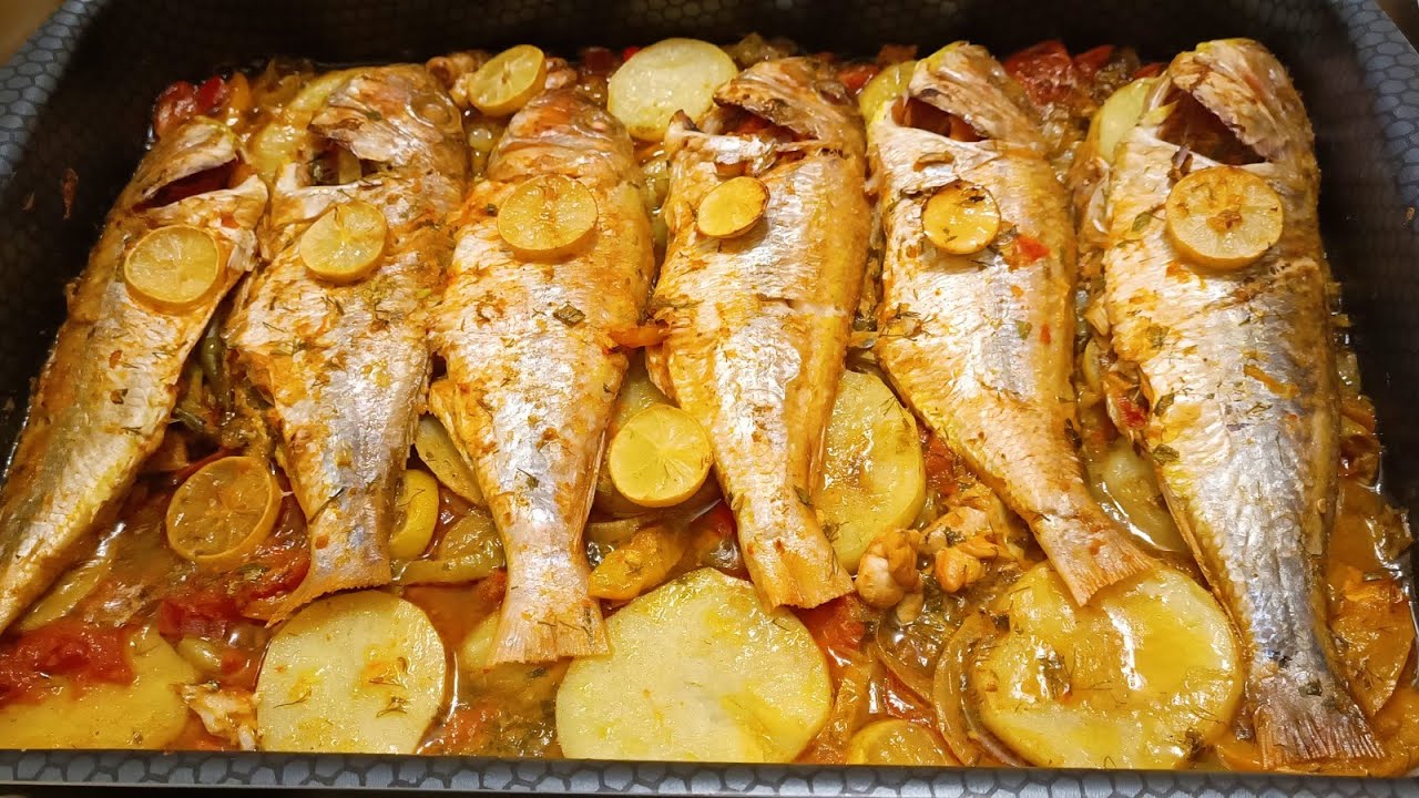 سمك المرجان اللي بيقولوا عليه (ابو نظارة) ،😎😎🐠🐠تعالو بسرعة نشوف عملتو ازاي