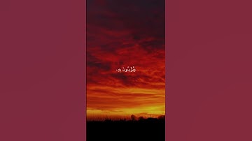 سورة غافر #قران_كريم #قرآن #تلاوات #تلاوة #تلاوة_خاشعة #سورة #ياسر_الدوسري