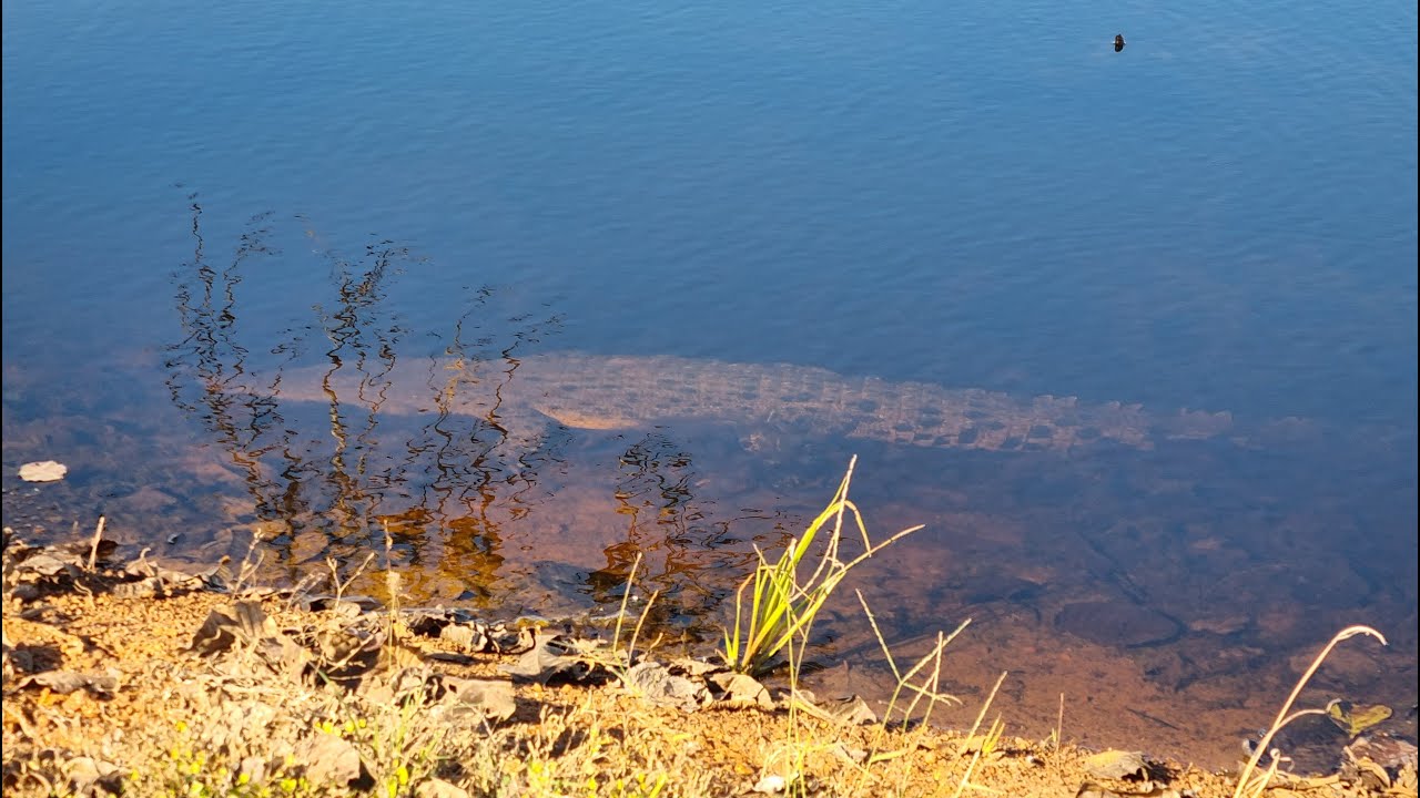 Fogg Dam at Humpty Doo