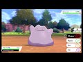 Pokémon Sword Shield كيفية العثور على البوكيمون الأعجوبة ميتامورف ديتو و طريقة مسكه