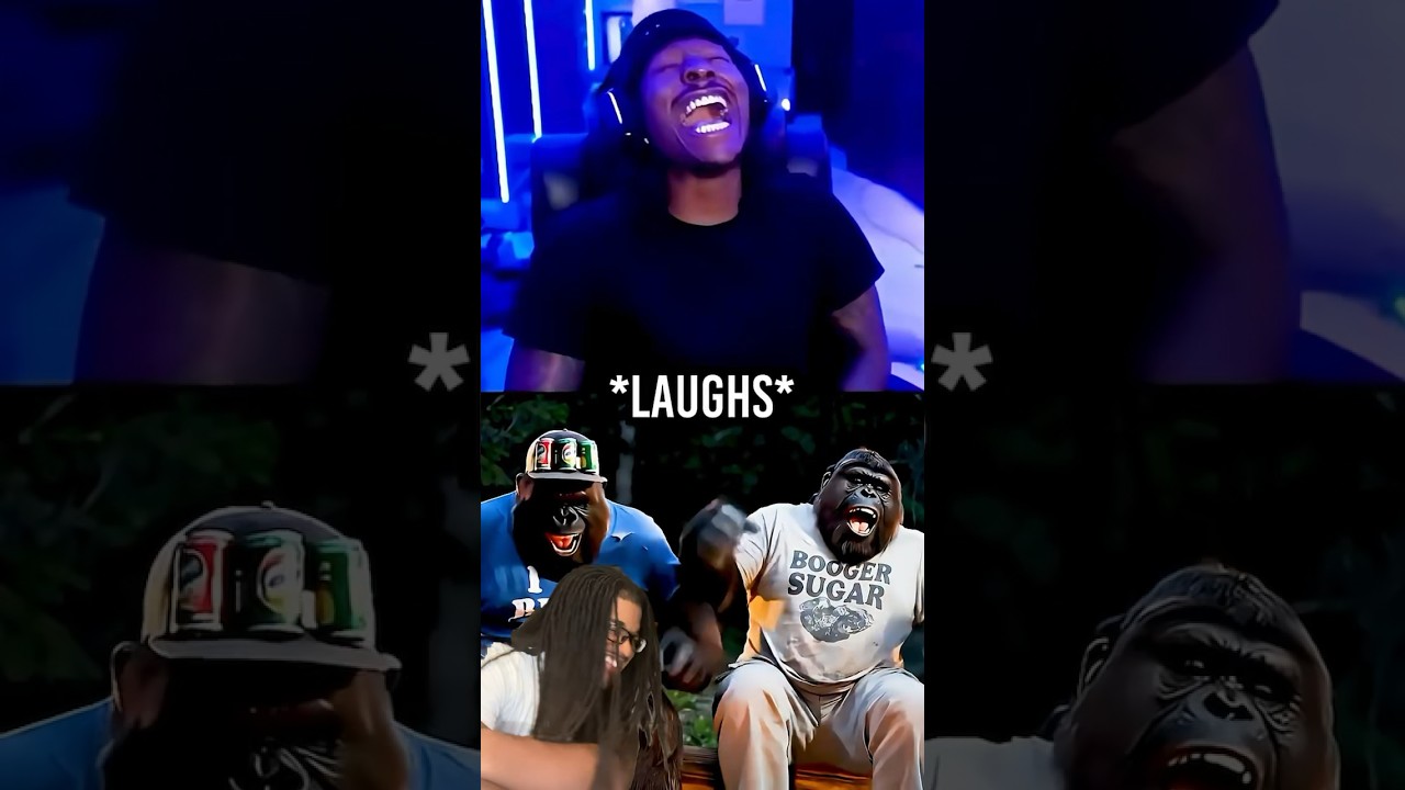 Duke Reacts To Funny Gorilla Ai Video Telling Dad Jokes!! 🤣😭 