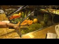 MSC Preziosa. Lunch in buffet restaurant. HD1080p.