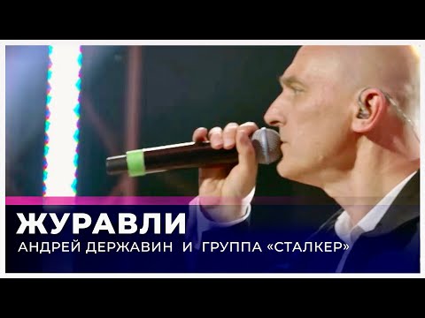 Андрей Державин - Журавли (Live "Большая рыба")