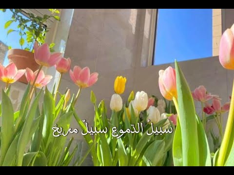 سبيل الدموع للمنشد محمد المقيط  The Way of The Tears Muhammad Al Muqit