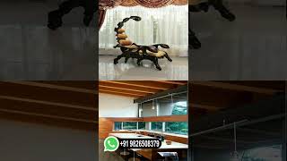 Açık Büfe Yemek 5 Yıldızlı Otel Banyo Tasarımı Cafe Shop Tasarımı Lokanta Masa Üstü