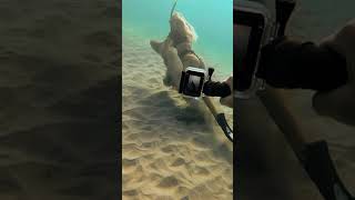 Cleaning The Ocean w my Friend Brittany (TikTok)