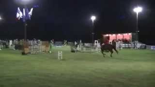 Clovis Debève Sur Qualista Epreuve De Puissance 3 St-Simon De Pellouaille