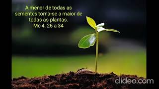 A menor de todas as sementes torna-se a maior de todas as plantas. Mc 4, 26 a 34 screenshot 5