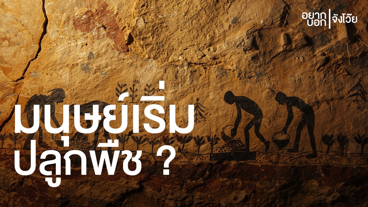 มนุษย์สมัยก่อนรู้จักการปลูกพืชไหม ? | อยากบอกจังโว๊ย