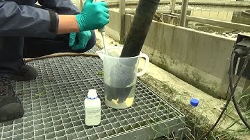 ISEmax CAS40D | Calibration | 1-point calibration